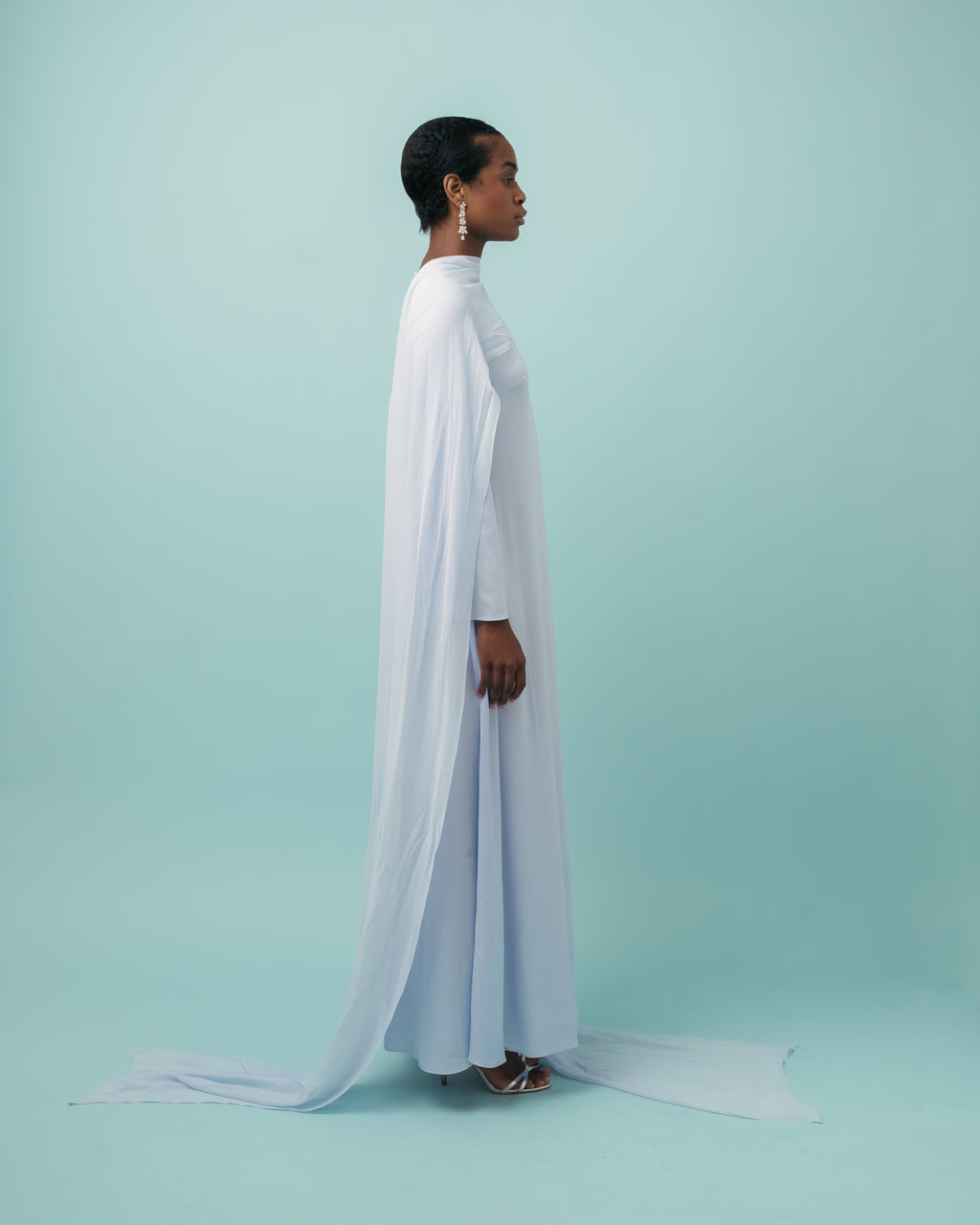 Anamika Gown