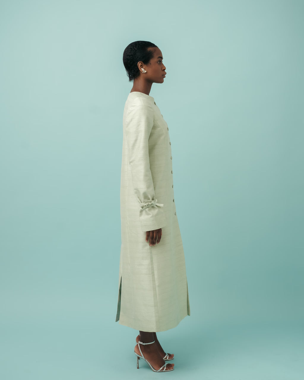 Vaani Gown