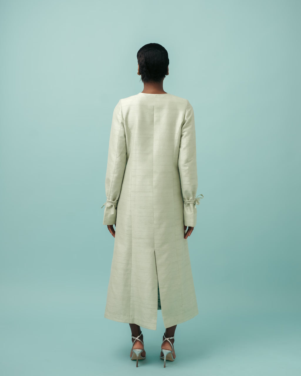 Vaani Gown