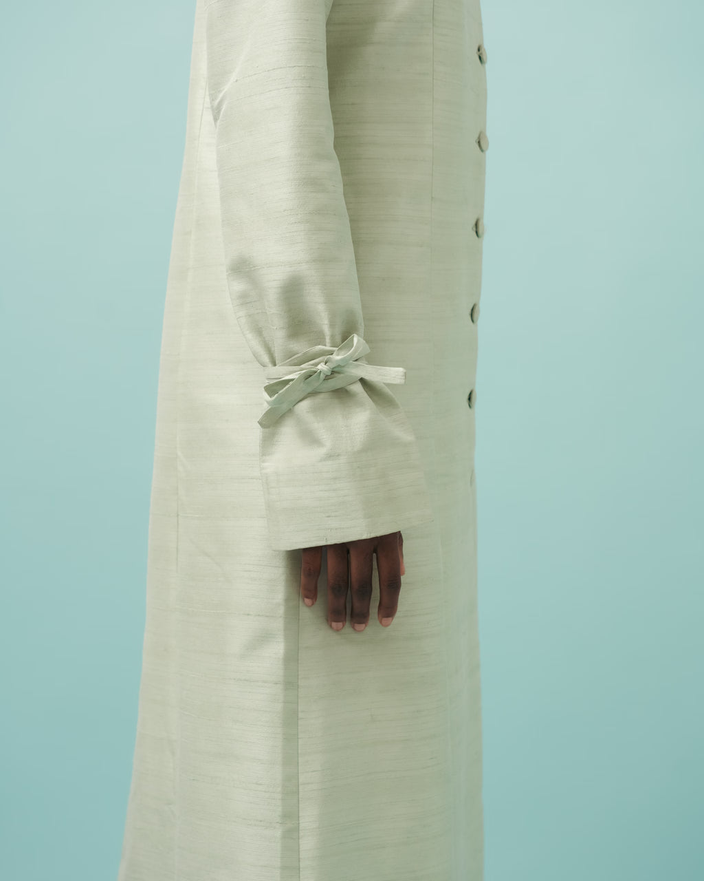Vaani Gown